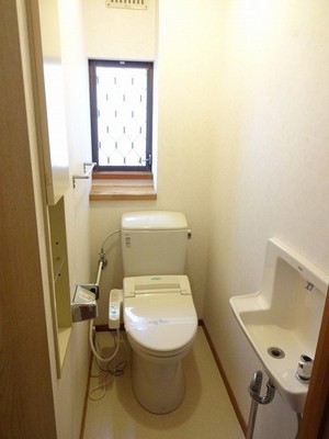 Toilet. Convenient bidet with toilet ventilation have windows.