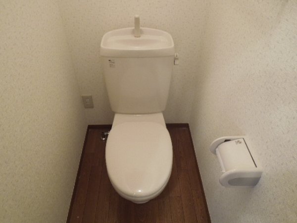 Toilet. Toilet