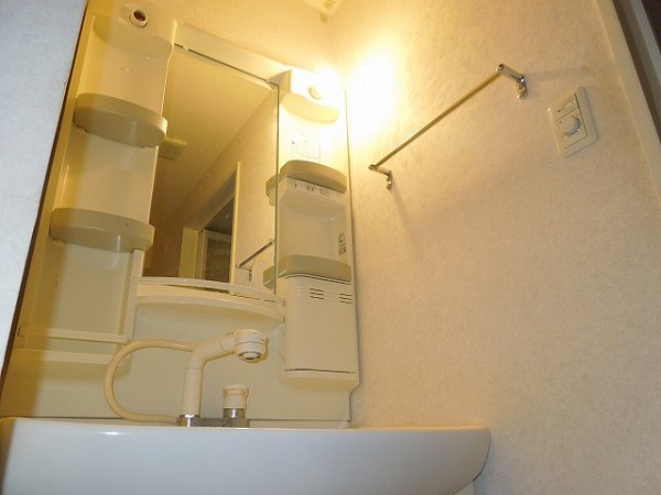 Washroom. Bathroom Vanity