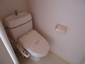 Toilet. It is a toilet that lucky the cleaning function