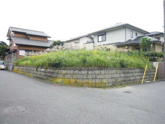 Local land photo