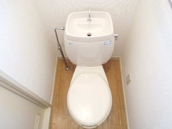 Toilet. Toilet