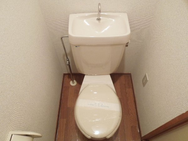 Toilet. Toilet