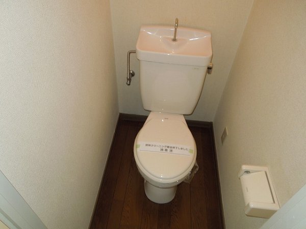 Toilet. Toilet