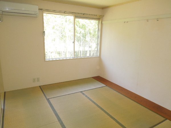 Living and room. Japanese style room