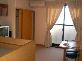 Living and room. Air conditioning, curtain, table, Chair equipped