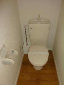 Toilet. Alone toilet