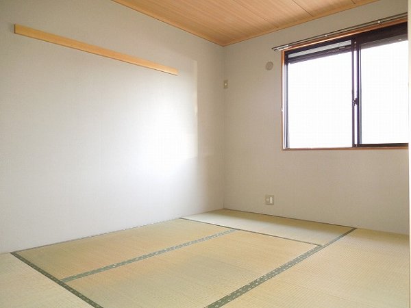 Other room space. Japanese style room