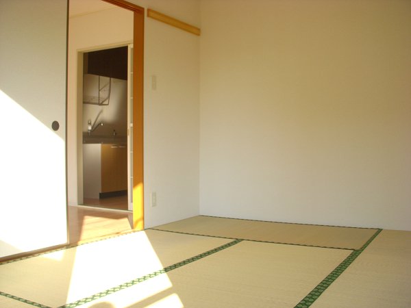 Other room space. Japanese style room