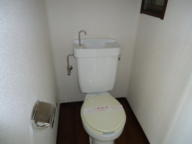 Toilet. It will calm the toilet!