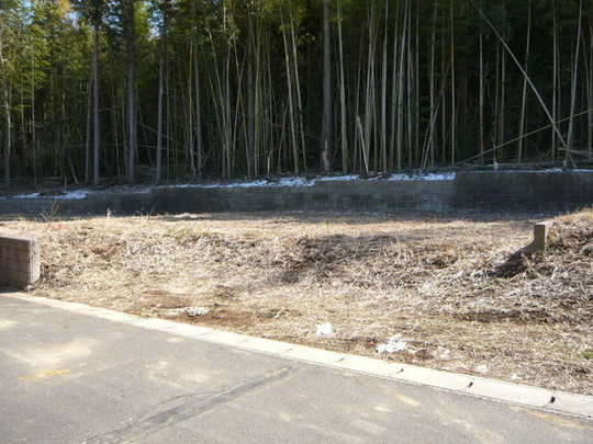 Local land photo