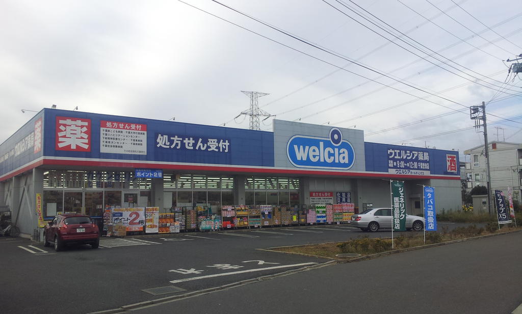 Dorakkusutoa. Uerushia Chiba Honda shop 1318m until (drugstore)