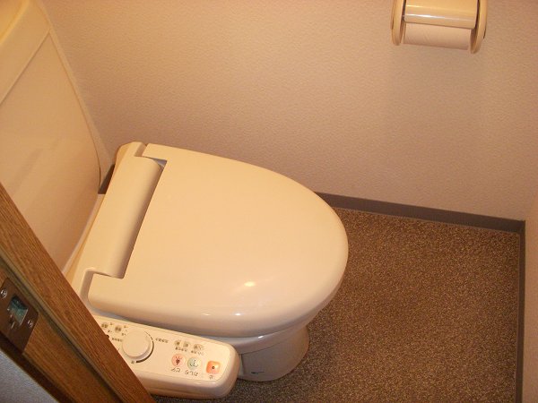 Toilet. Toilet