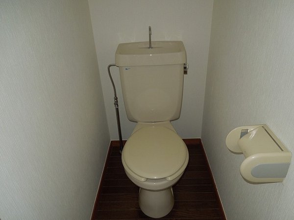 Toilet. Toilet