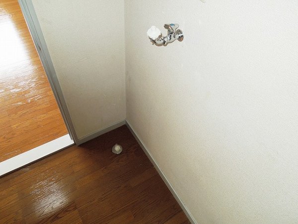Washroom. Laundry Area