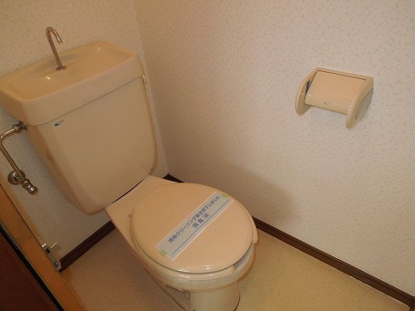 Toilet. Toilet