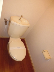 Toilet. It is the No. 1 favorite space