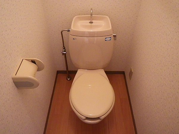 Other. Toilet