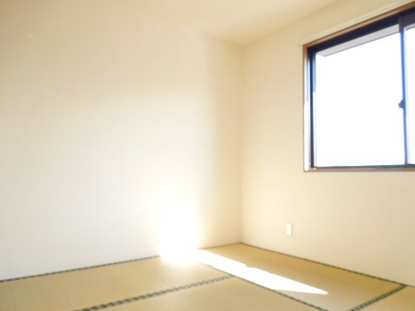 Other room space. Japanese style room