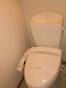 Toilet. With warm water washing toilet seat