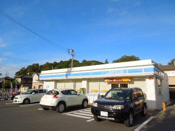 Convenience store. 250m until Lawson (convenience store)