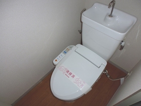 Toilet. This cleaning function with. It will calm me toilet!