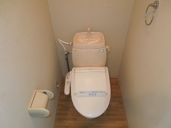 Toilet. Toilet