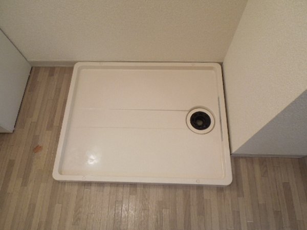 Washroom. Washing machine Storage