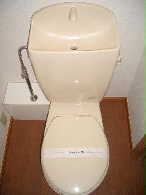 Toilet. Separate toilet