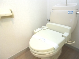 Toilet. You unlucky popular cleaning function.