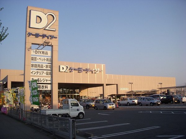 Other. D2