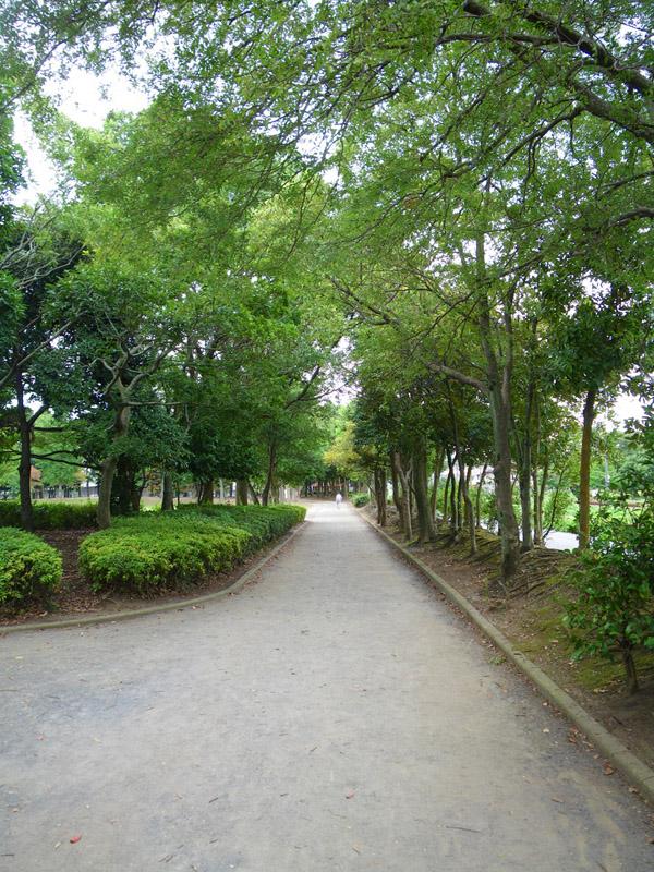 park. Kimizuka Central Park