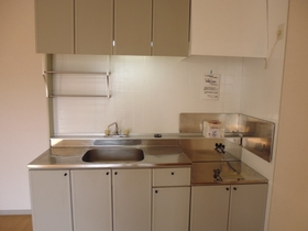 Kitchen. Spacious kitchen. You will want to dishes!