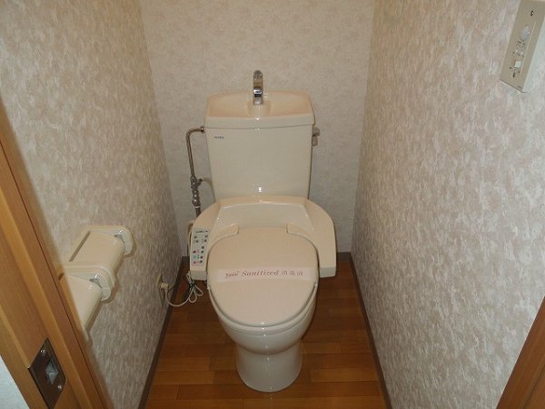 Toilet. Toilet