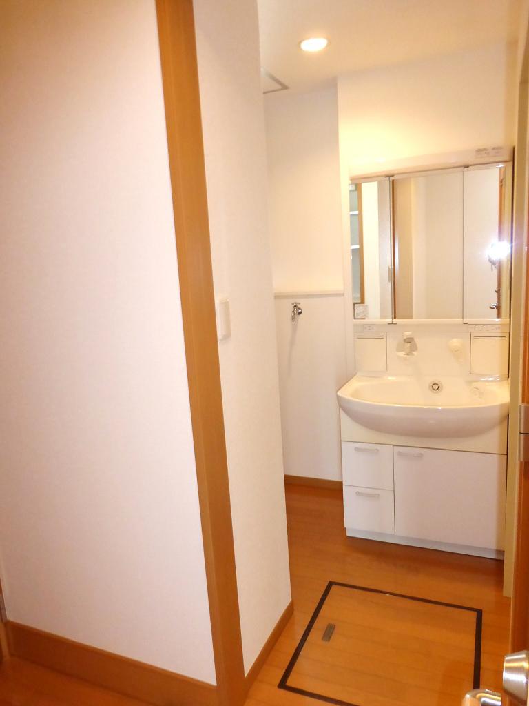 Wash basin, toilet. Washroom