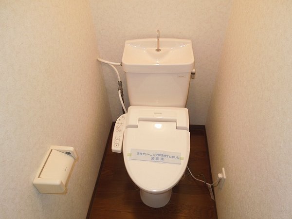 Toilet. Toilet