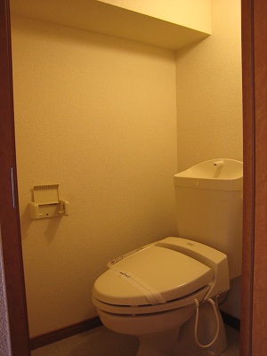 Toilet. The same type