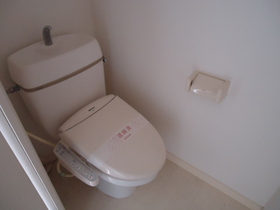 Toilet. A cleaning function is the toilet