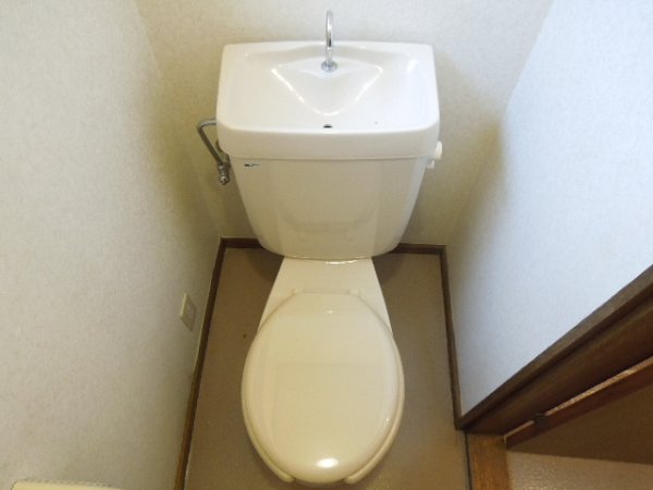 Toilet. Toilet