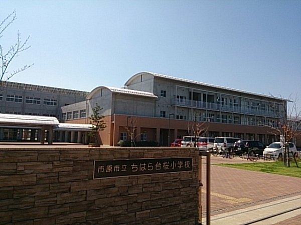 Primary school. Chiharadai 410m Sakura to elementary school (elementary school)