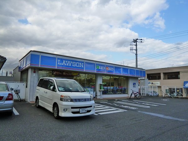 Convenience store. 300m until Lawson (convenience store)