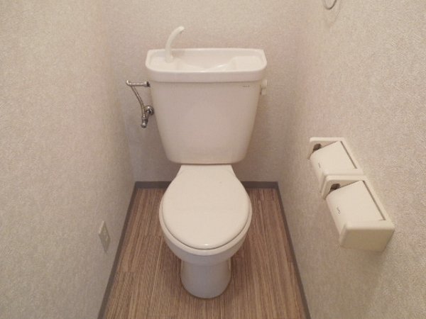 Toilet. Toilet