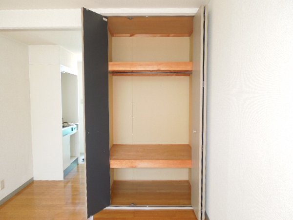 Other room space. Bedroom storage