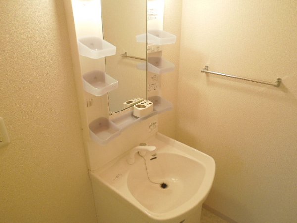 Washroom. Shampoo dresser