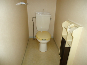 Toilet. It calms down the toilet!