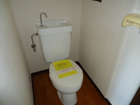 Toilet. It will calm the toilet!