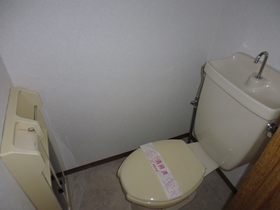 Toilet. It is the No. 1 favorite space