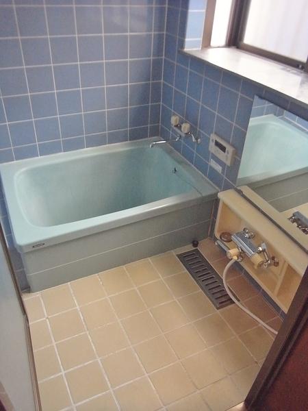 Bath. Spacious bath with add cooked