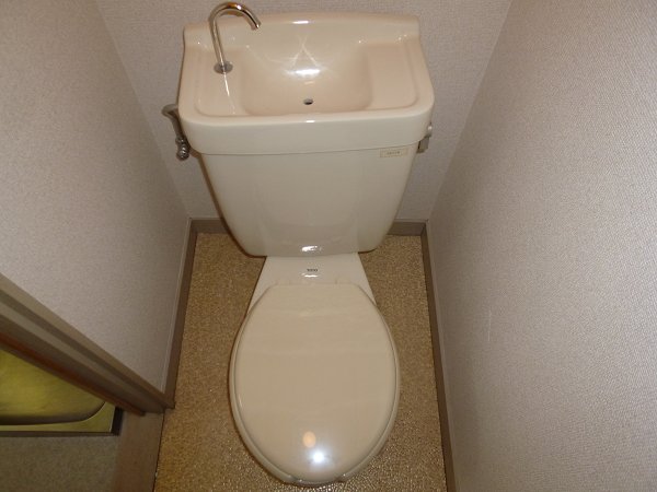 Toilet. Toilet