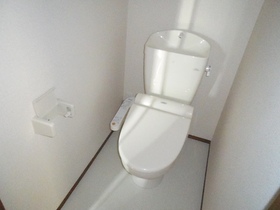 Toilet. It is a popular cleaning function with.